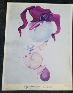 25+ Mark Ryden for sale | Updated Oct 2026