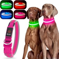 USB Rechargeable LED Dog Collar Light Up Puppy Bright Night Safety Glow In The