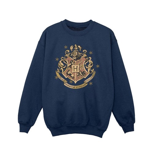 Harry Potter Felpa Stemma di Hogwarts Ragazze (BI20977)