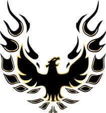 Pontiac Firebird Trans Am Year One Bandit Vinyl Sticker Decal Car Window Hood Pontiac Firebird Trans Am Year One Bandit Vinyl Sticker Decal Car Window Hood