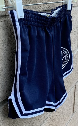 Vintage NWC Naval Weapons Center China Lake California Gym Shorts Short Size S - Picture 11 of 24