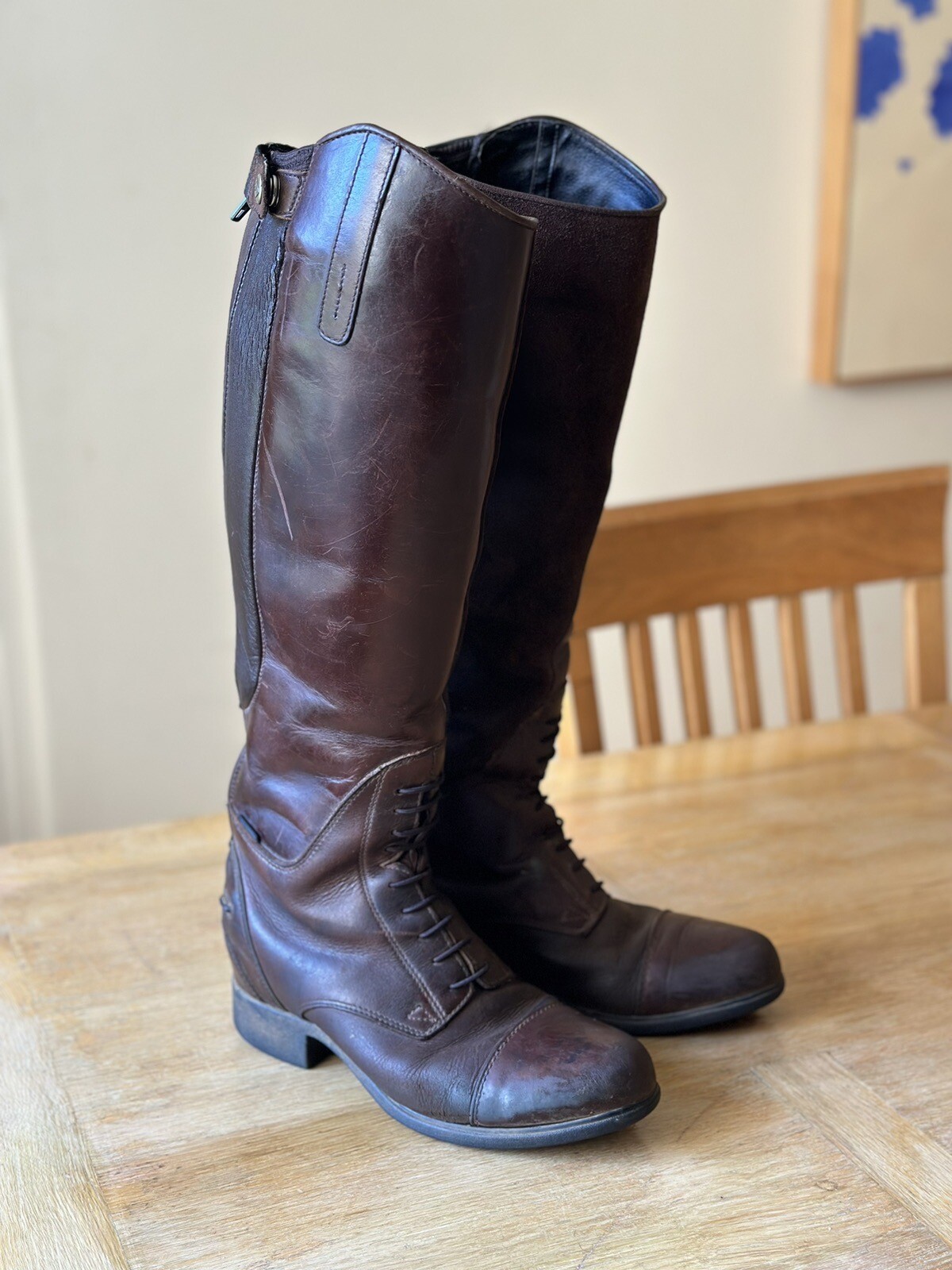 ARIAT H20 BROMONT LEATHER RIDING BOOTS BROWN SIZE 6.5 REGULAR eBay
