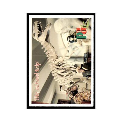 1995 PG Tips The Secret Diary of Kevin Tipps May 27 #nan