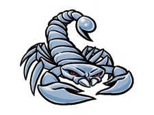 Scorpion Temporary Tattoo 12 tattoos  Made in USA