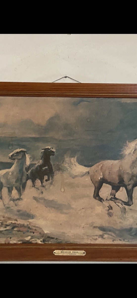 Vintage Rico Tamaso Rainbow Trail Print painting of wild horses