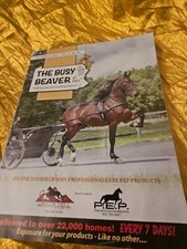 THE BUSY BEAVER of PA+ October 4, 2024 VOLUME...