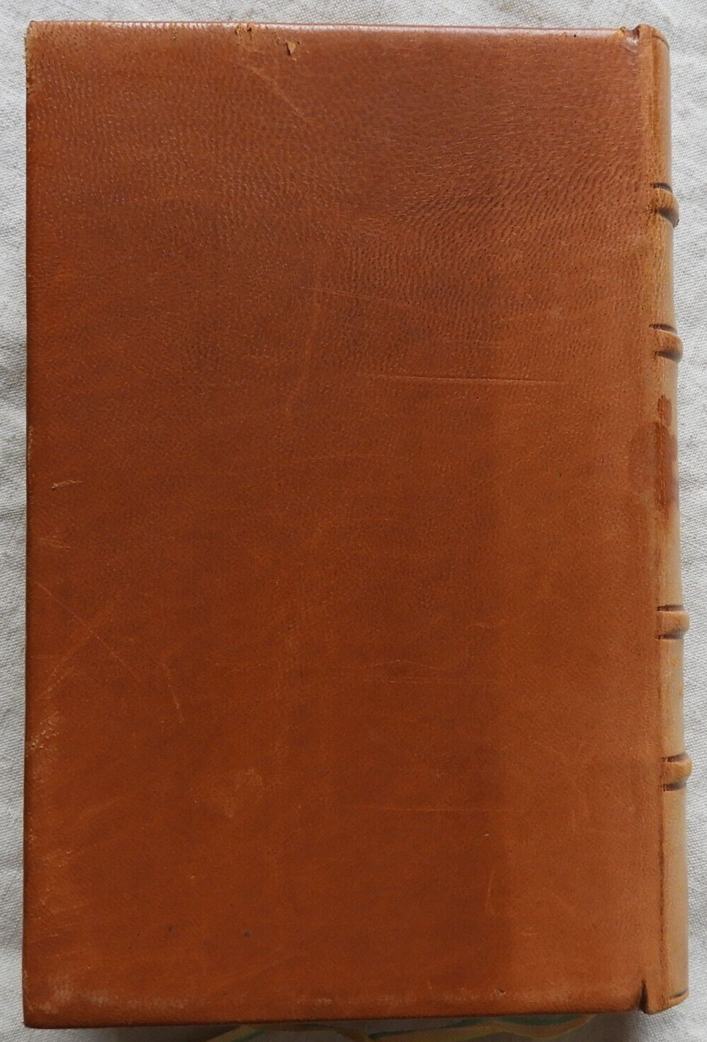 Picture 8 of 10