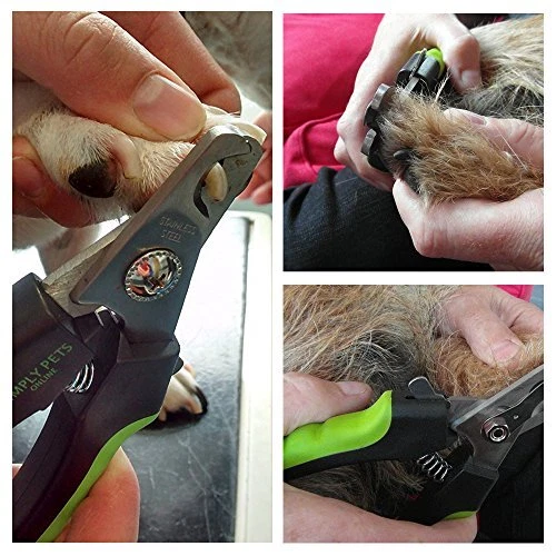 Miracle Care QuickFinder Medium Dogs Safety Nail Clipper 