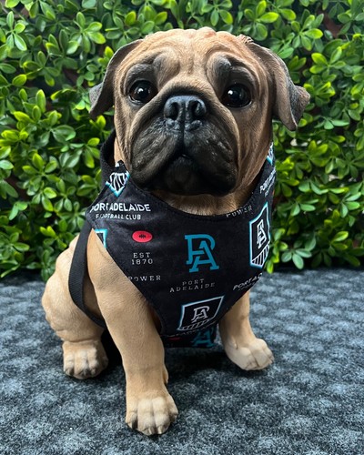 PORT ADELAIDE POWER AFL Football Dog Collar, Lead, Doggy 'dana, Harness; FUNKY - Picture 22 of 32