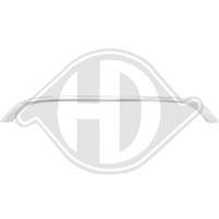 1X Zier /Schutzleiste KüHlergitter Diederichs 1206841 FüR Bmw Motorhaube
