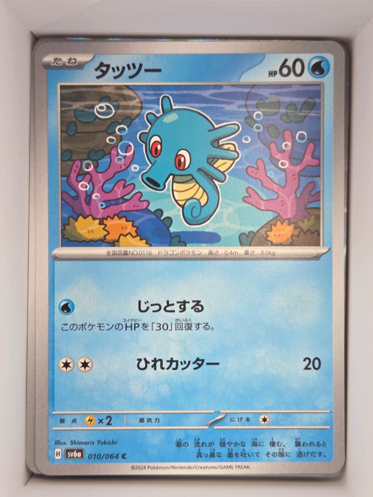 Pokemon TCG Horsea 010/064 SV6a: Night Wanderer Common Near Mint