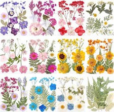 12 Packs Real Dried Flowers for Crafts, Birth Month Flower, Bulk Natural Pres...