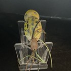 Vintage Fred Arbogast Hula Popper Fishing Lure  — photo 4
