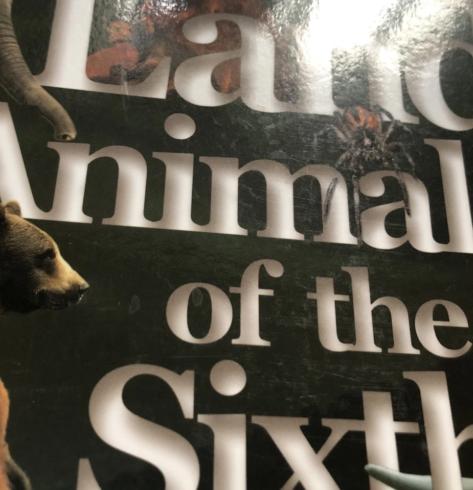 Apologia Exploring Creation Zoology 3 Land Animal JUNIOR Notebooking Journal - Image 3 of 4