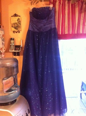 midnight blue sparkly dress