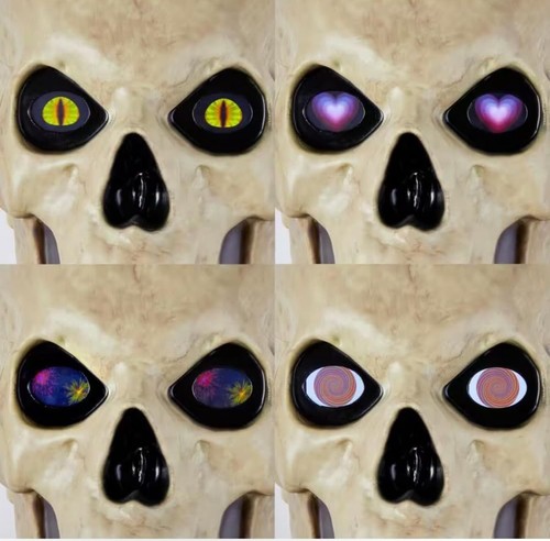 12 ft. Skeleton Skelly Eye Kit - Home Accents Holiday Halloween New - Picture 4 of 6