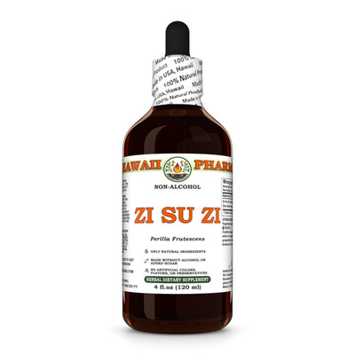 Zi Su Zi (Perilla Frutescens) Glycerite,  Dried Seed Liquid Extract
