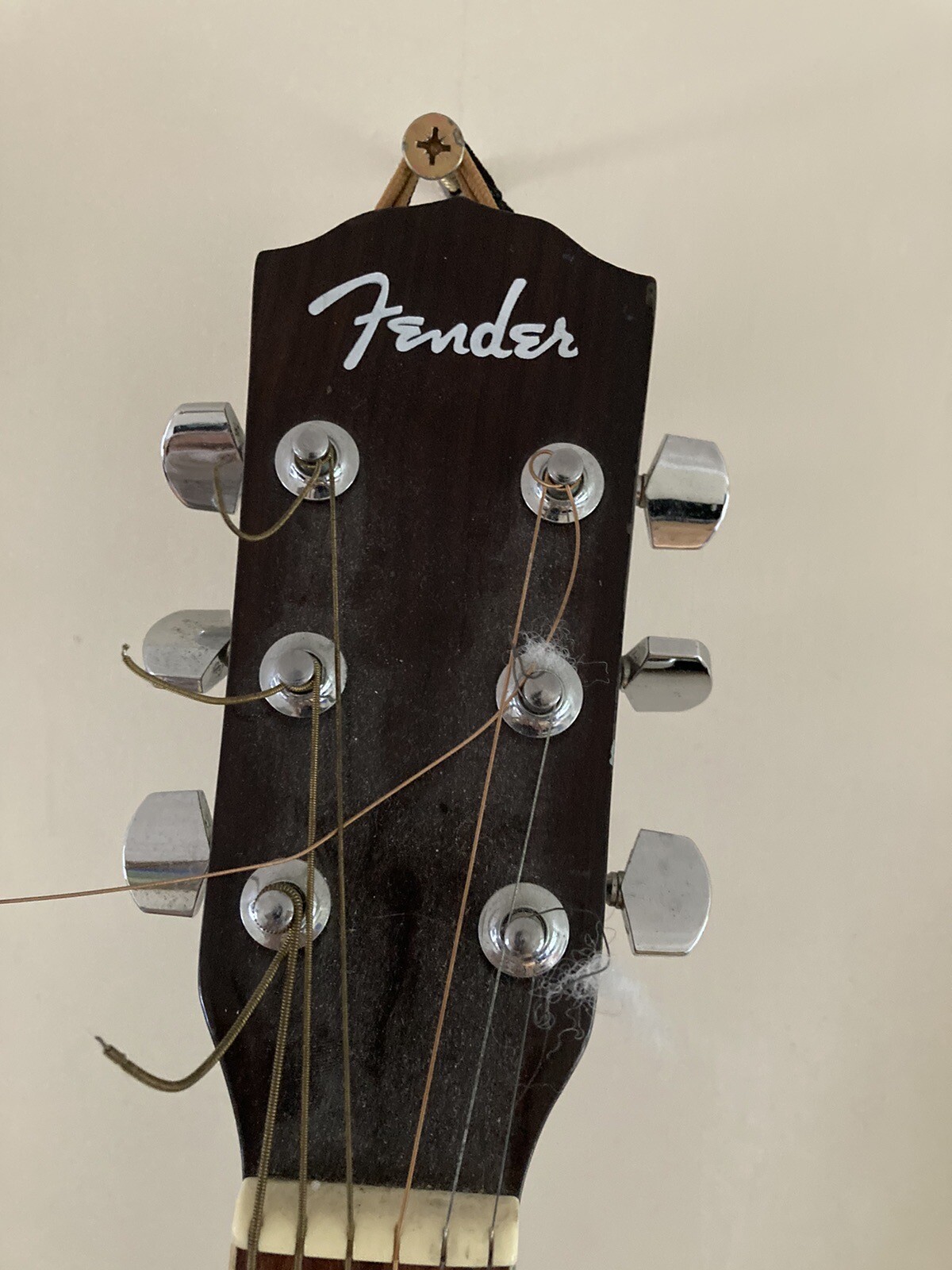 Fender DG3 Acoustic Guitar eBay