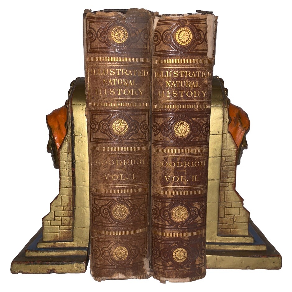 1859, 1st, ILLUSTRATED NATURAL HISTORY OF THE ANIMAL KINGDOM, by S. G. GOODRICH