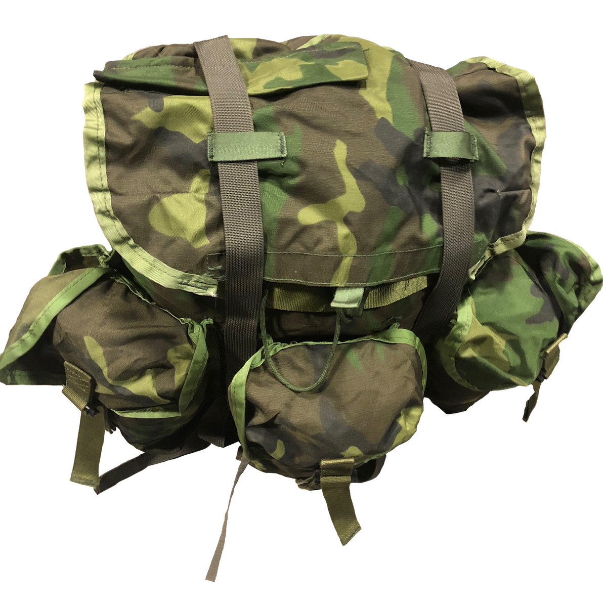 USGI Medium ALICE Pack LC-2 Complete Woodland Camo | eBay