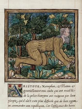 Histoires Prodigieuses : "Wretched King Nebuchadnezzar" (1559) - Fine Art Print