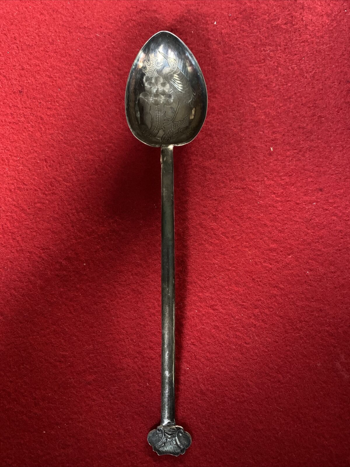 Foto 1 di 12