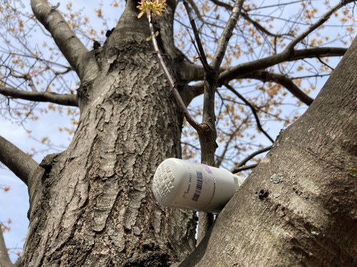 Urban Pipe Geocache w/ logs, Pencil, Swag, Bags Waterproof Geocaching Container - Picture 9 of 14