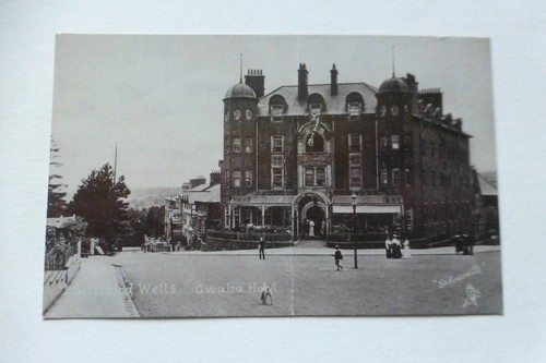 I124 LLANDRINDOD WELLS GWALIA Hotel Silverette Tuck Postkarte