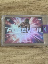 2025 Topps WWE Universe - The Ultimate Warrio...