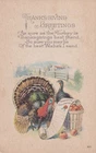Thanksgiving Greetings Turkey Reading Proclamation Postcard D53