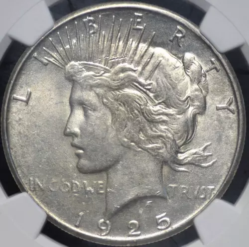 1925 S PEACE DOLLAR NGC MS 61 SOFT OFF WHITE WITH GRANULARITY ON THE OBVERSE