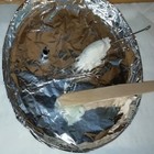 Picture 10 of 12