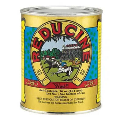 New! REDUCINE ABSORBENT FOR HORSES 16 oz. For horse leg stiffness soreness