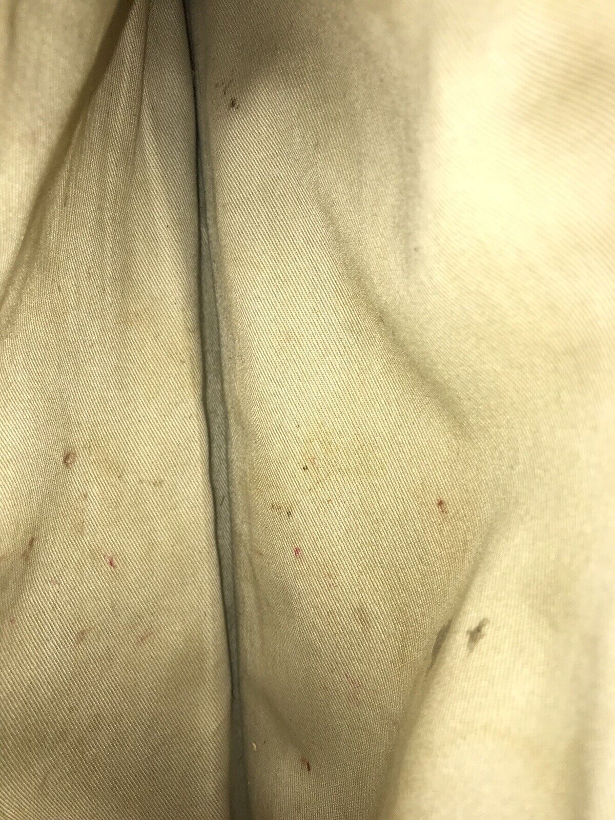 Picture 10 of 10