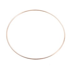 10 Pcs Metal Dreamcatcher Round Hoops for Crafting Projects 16 cm