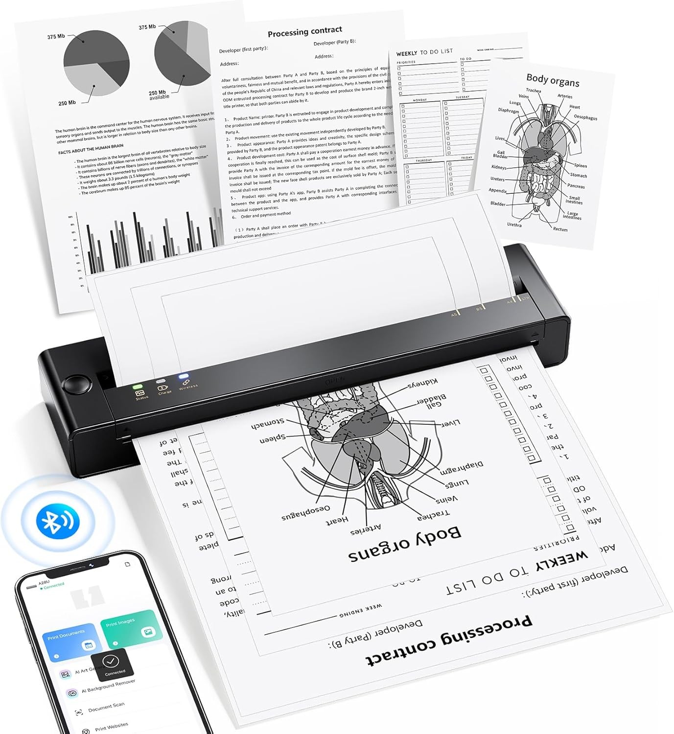 Phomemo A4 Portable Thermal Printer Wireless Bluetooth iOS Android PC desktop