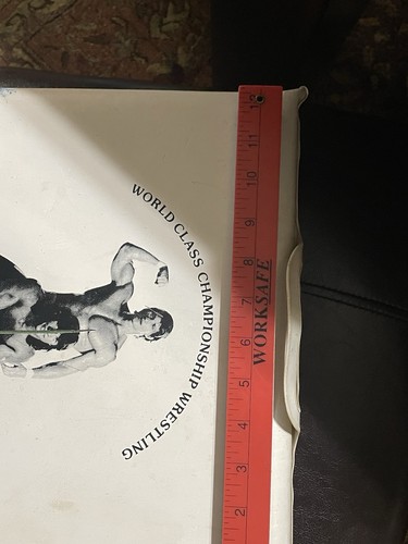 Vintage Wrestling WCCW KERRY DI ERICH & KEVIN VON ERICH SEAT CUSCINI TEXAS - Foto 5 di 5