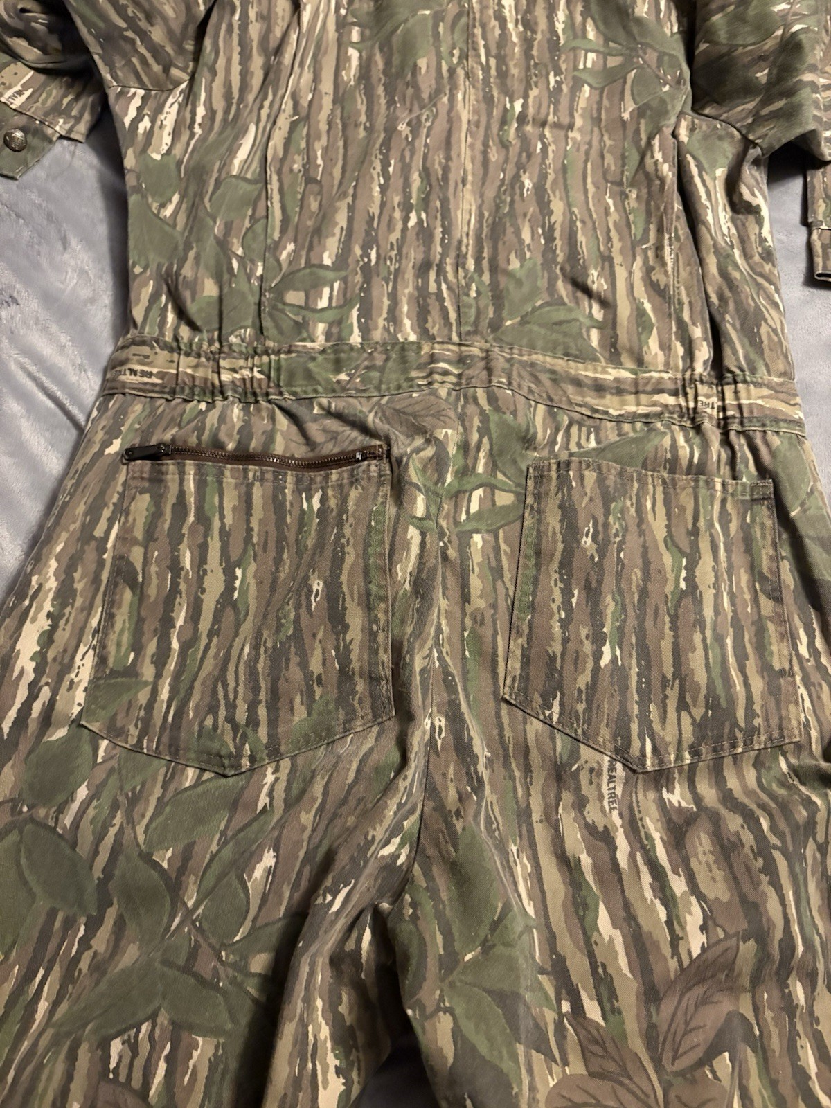 Picture 5 of 5