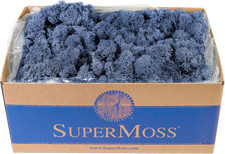(25121) Reindeer Moss – Soft Preserved Moss for Home Decor, Crafts, Terrariums,