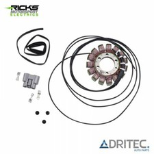 ✅ Alternatore Statore BMW S 1000 XR (2015-2017) RICK'S
