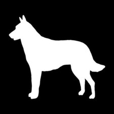 Belgian Malinois Dog Vinyl Car Decal Wall Laptop Sticker Window Bumper