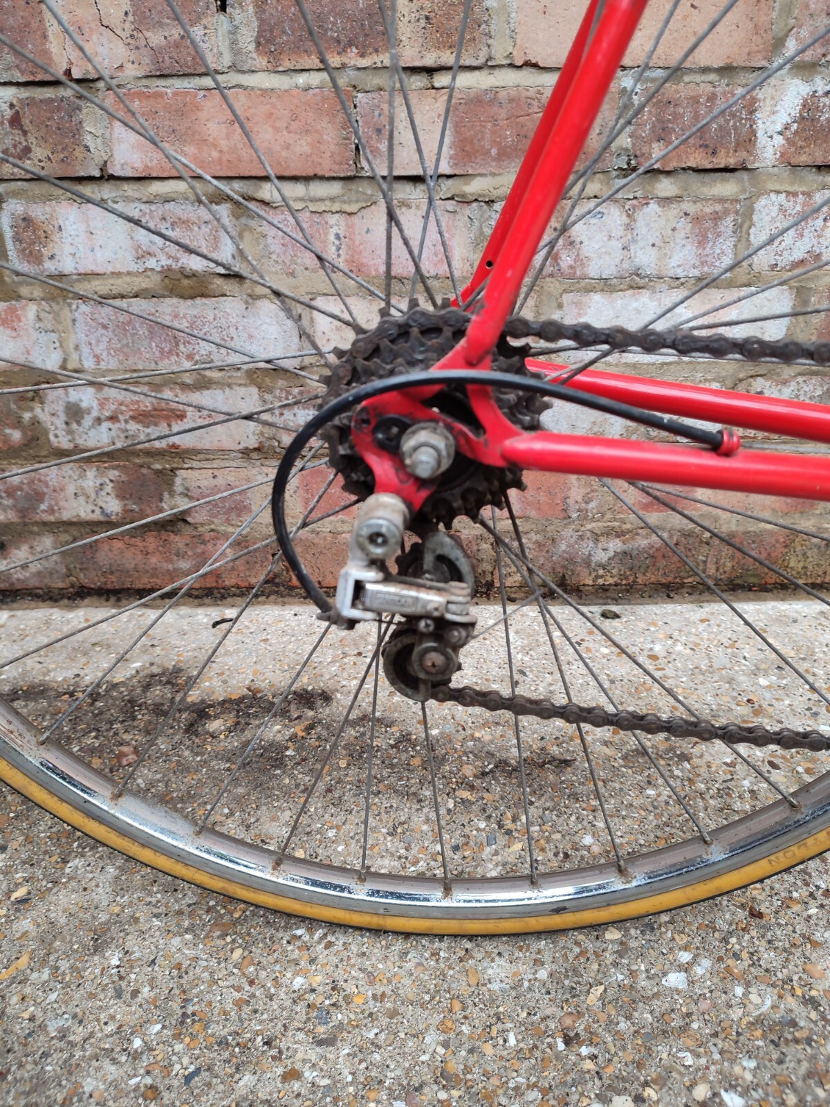 Vintage Raleigh TI Europa Road Bike Large Frame Steel Eroica Tweed run