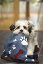 Linen Avenue Pet Blanket