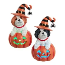 Shih Tzu Dog Pair Halloween Light Up Pumpkin Tabletop Decor
