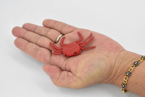 Sally Lightfoot Crab, Rubber, Realistic, Hand Painted, Toy Model 2.5" F1519 B150 - Picture 3 of 7