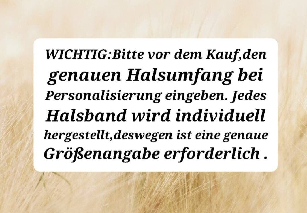 Bild 5 von 5