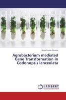 Bimal Kumar Ghimire | Agrobacterium Mediated Gene Transformation In...