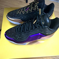 Nike Lebron 23 The Chosen One And The One Who Chose for Sale