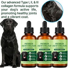 Clover Collagen For Dogs, Joint Mobility Support, Skin And Coat Supplement Drops