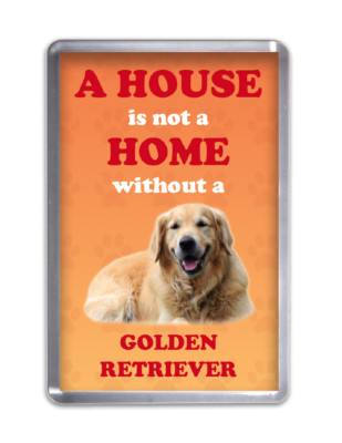 EIN HAUS IST KEIN ZUHAUSE OHNE GOLDEN RETRIEVER - Hund Kühlschrankmagnet Haustier Tier Geschenk